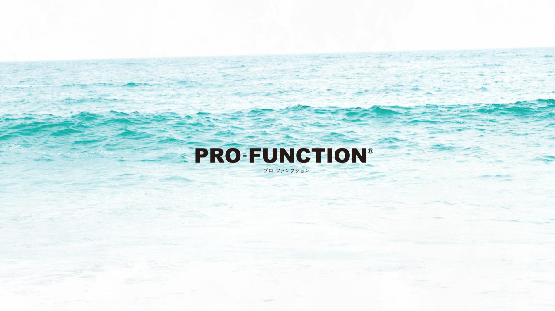 Profunction